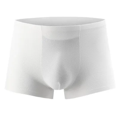 2020 Мужское нижнее белье боксеры сетка ледяной шелк быстросохнущие дышащие трусы