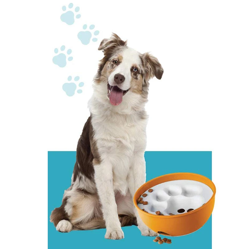 Bowl Puzzle Feeder Dog - Interactive Enrichment Dish Slow for Dogs | Дом и сад