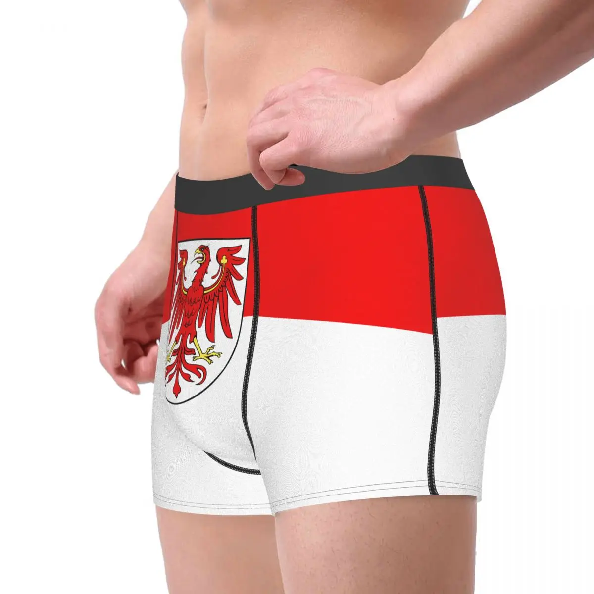 Flag Of Brandenburg Men's Boxer Briefs German states Geek elastic pants for men