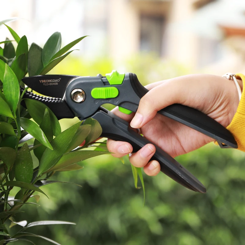 

Gardening Shears Grafting Tools Fruit Tree Pruning Shears Hand Gardening Plant Shears Branch Pruning Shears Pruning Tools