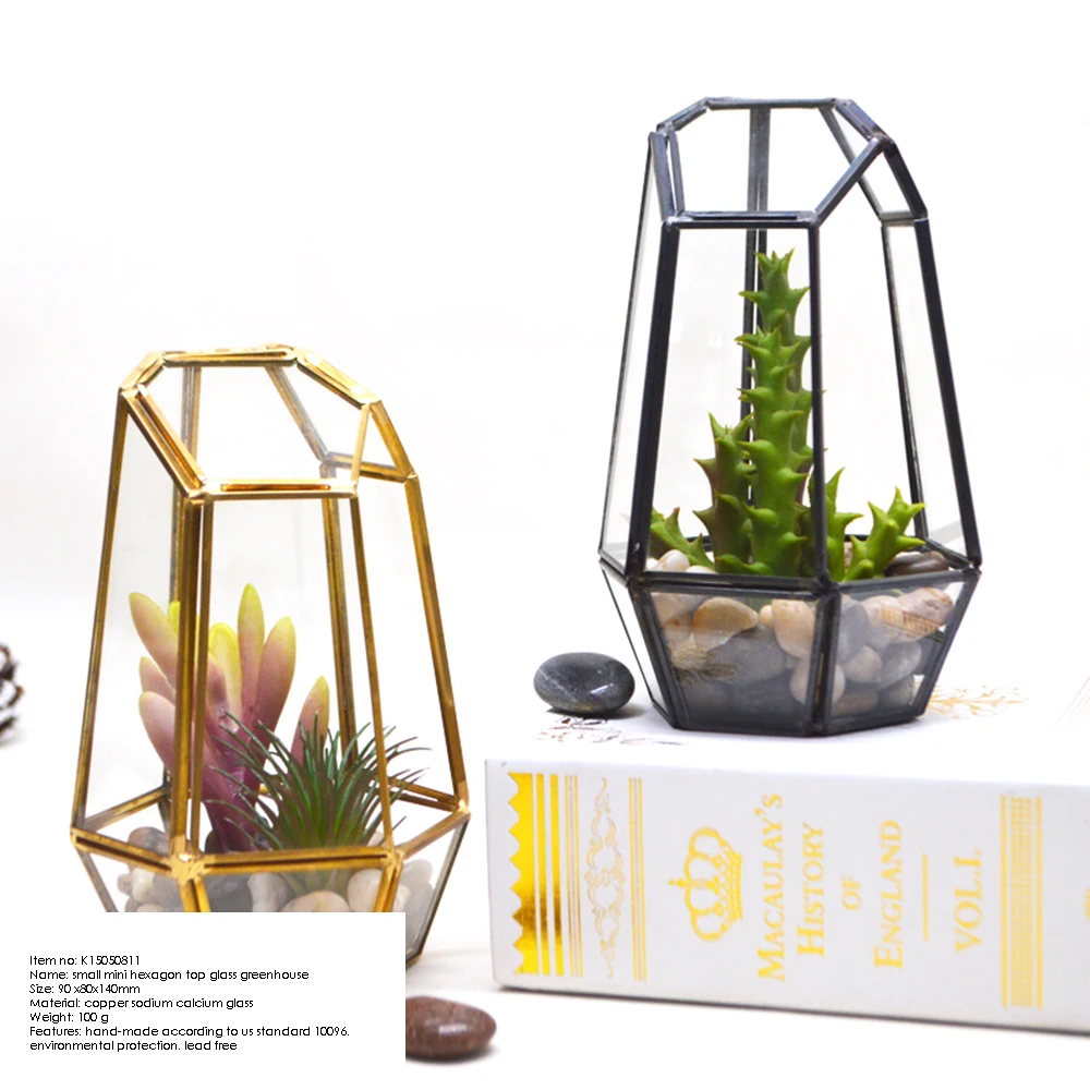 Геометрический цветочный горшок для суккулентных растений декоративная