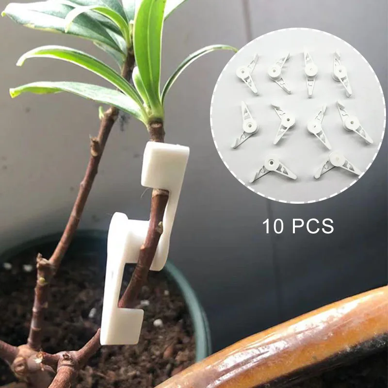 

10 шт., держатель для растений, 360 градусов