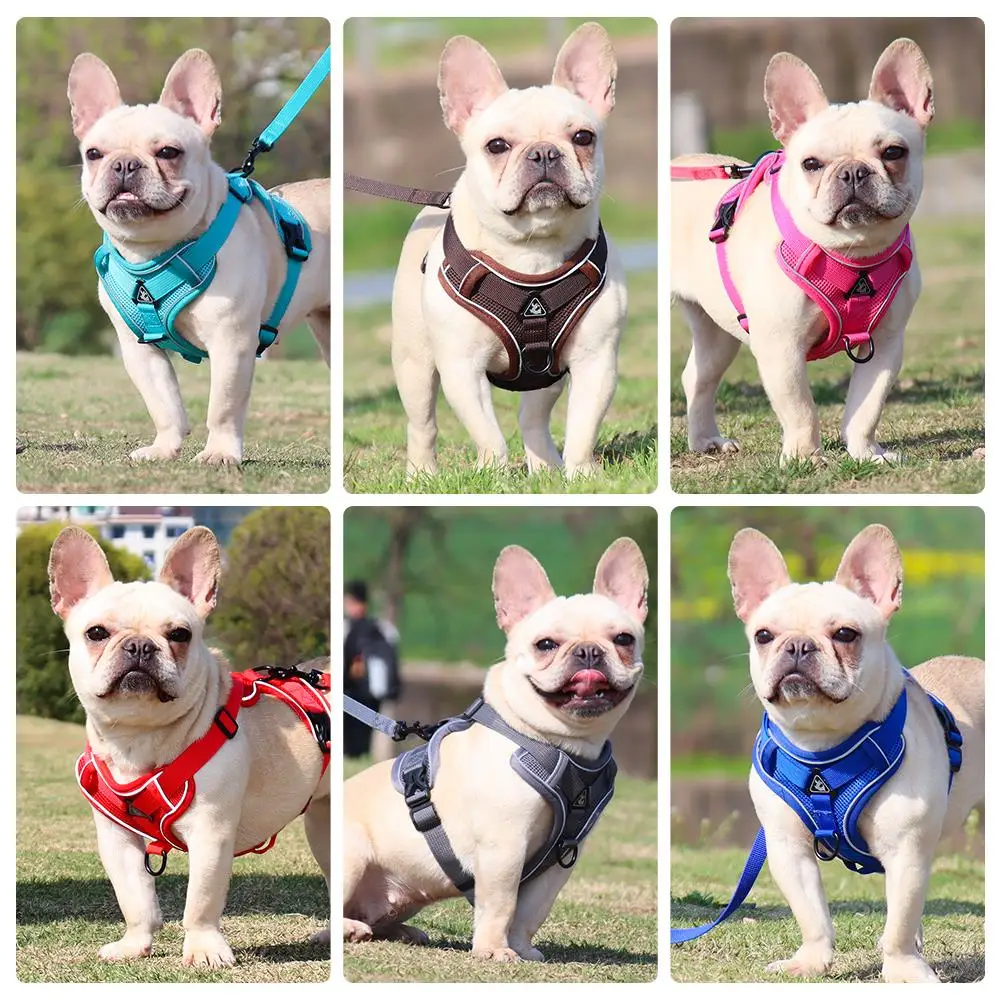 

Dog Harmess Vest Reflective and Leash Set Adjustable Dog Leash and Collar for Terrier Schnauzer Pet Cat Walking Training Supplie