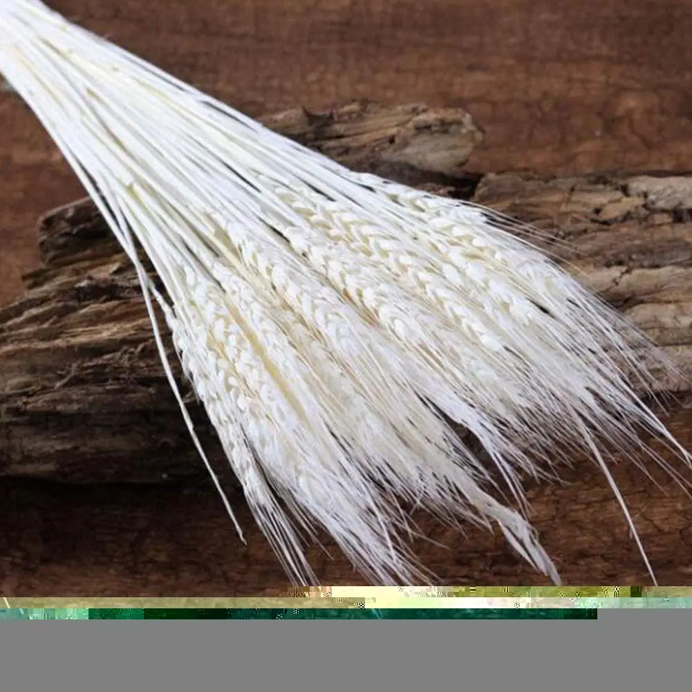 25 шт. разноцветные Натуральные сушеные цветы букет украшение пшеницы новинка