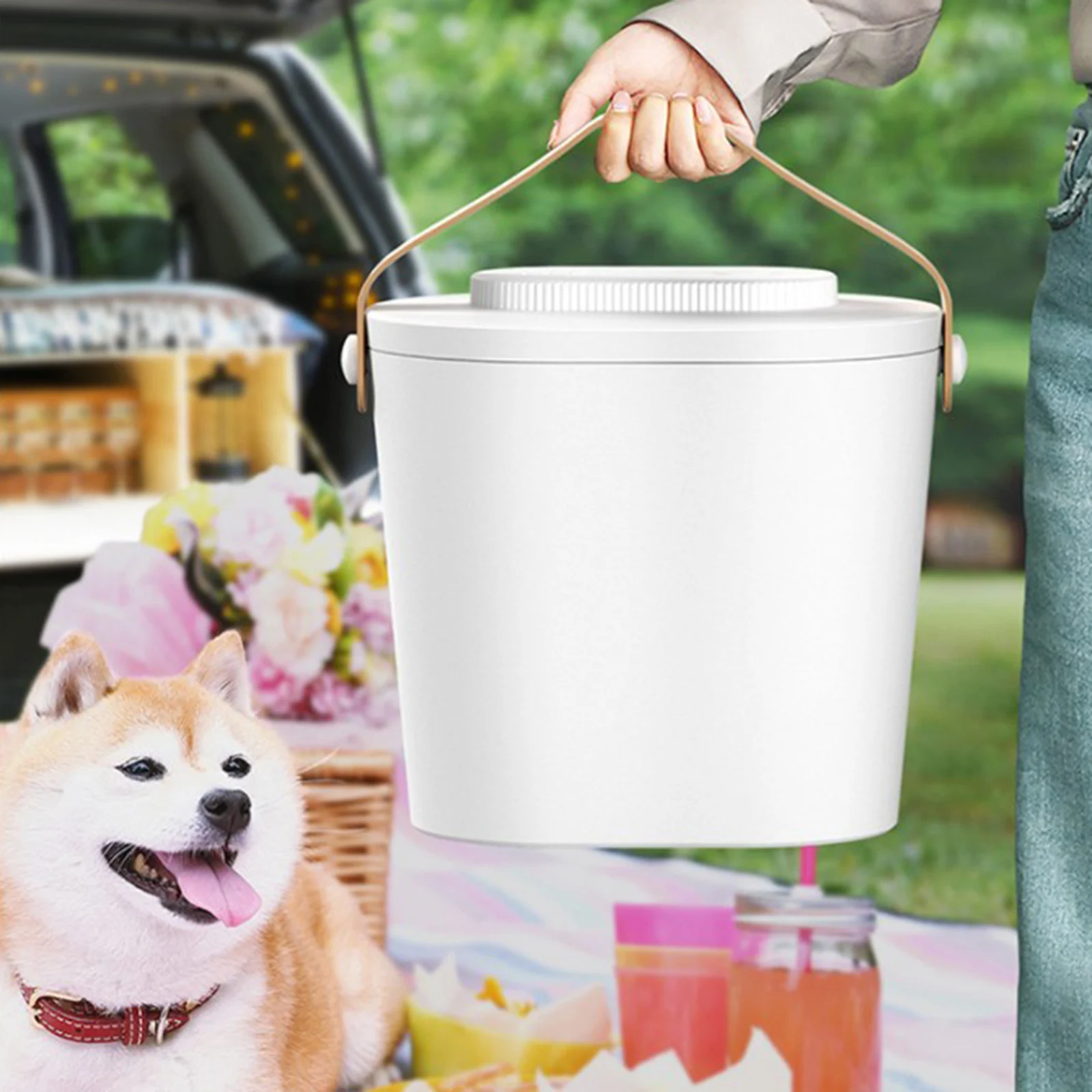 Günstig 11lbs Pet Food Storage Container Hund Katze Vogel Welpen Kätzchen Auto Vakuum Samen Körner Lebensmittel Halter Lebensmittel Grade Luftdichten Bin Reise