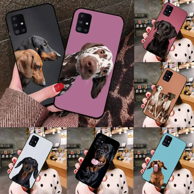 

Cute Dachshund dog Phone Case black For Samsung galaxy S 21 20 10 8 A 51 71 50 21s 70 40 20 20e note 10 plus Ultra 5g fe