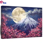 Алмазная вышивка с креплением Fuji с цветком вишни, алмазная живопись, полноразмернаякруглая 5d розовая Сакура, цветок, полнолунный пейзаж