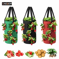 3 gallon hanging grow bags for strawberry vegetables with 12 planting holes home indoor wall garden planter for carrot tomato