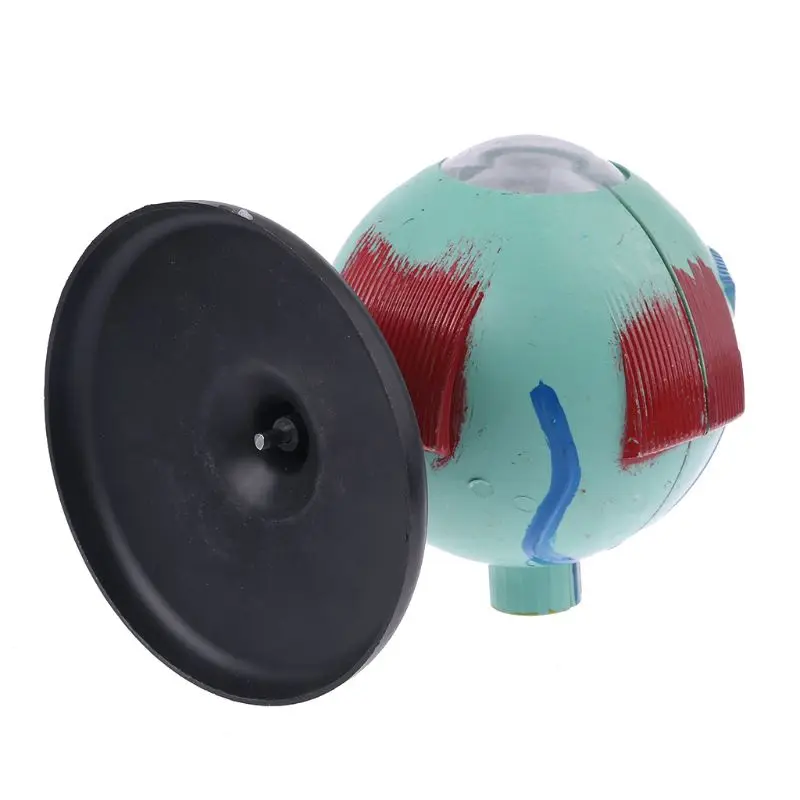 6x съемная модель глазного яблока для человеческого глаза внутренняя структура