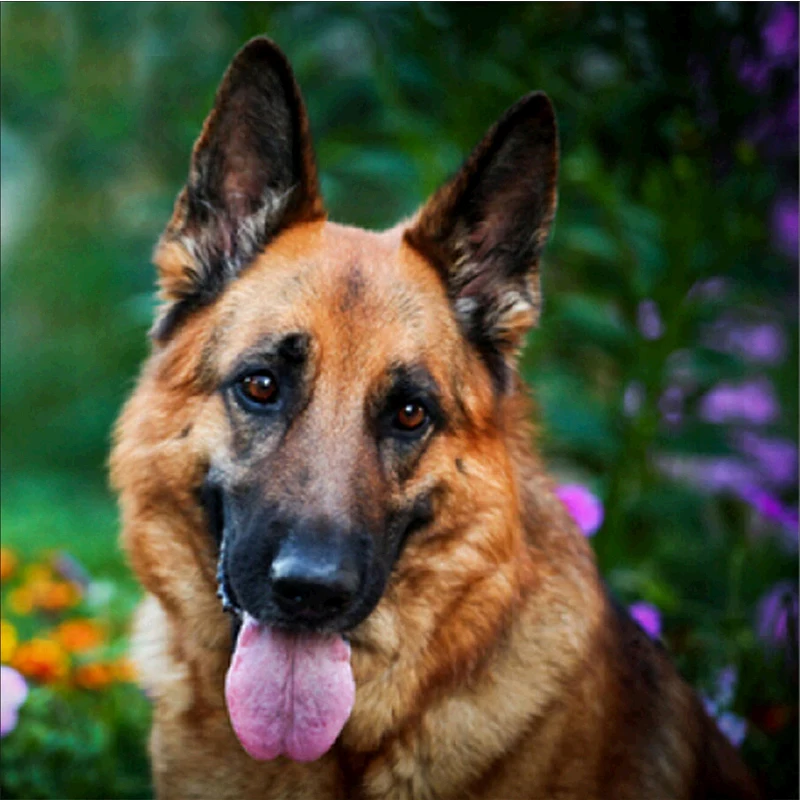 Настенная мозаика животное кошка собака с тигром для домашнего декора подарок 3D