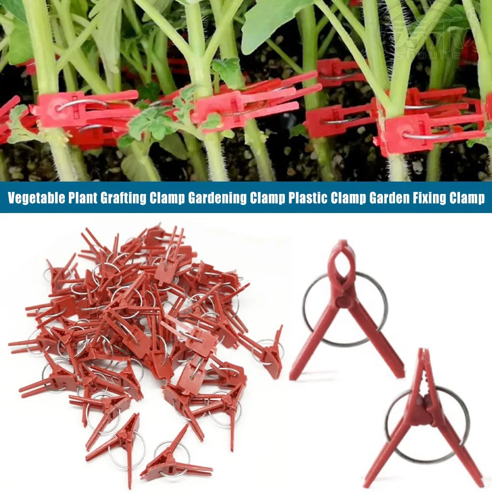 

50pcs Garden Plant Support Flat Mouth Round Mouth Cucumber Clips for Vegetable Flower Eggplant Tomato Vine Stalks Fix