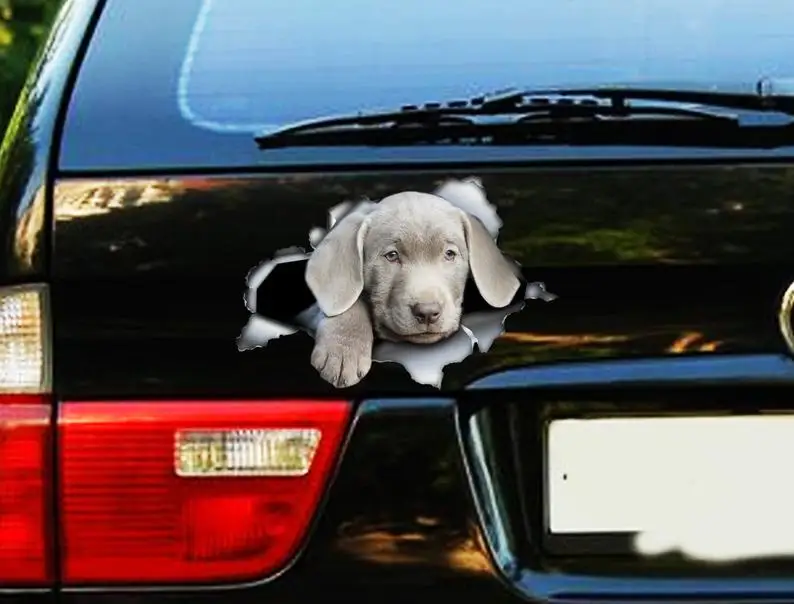 

2021 Silver lab puppy car decal, lab decal, Silver Labrador sticker, pet decal