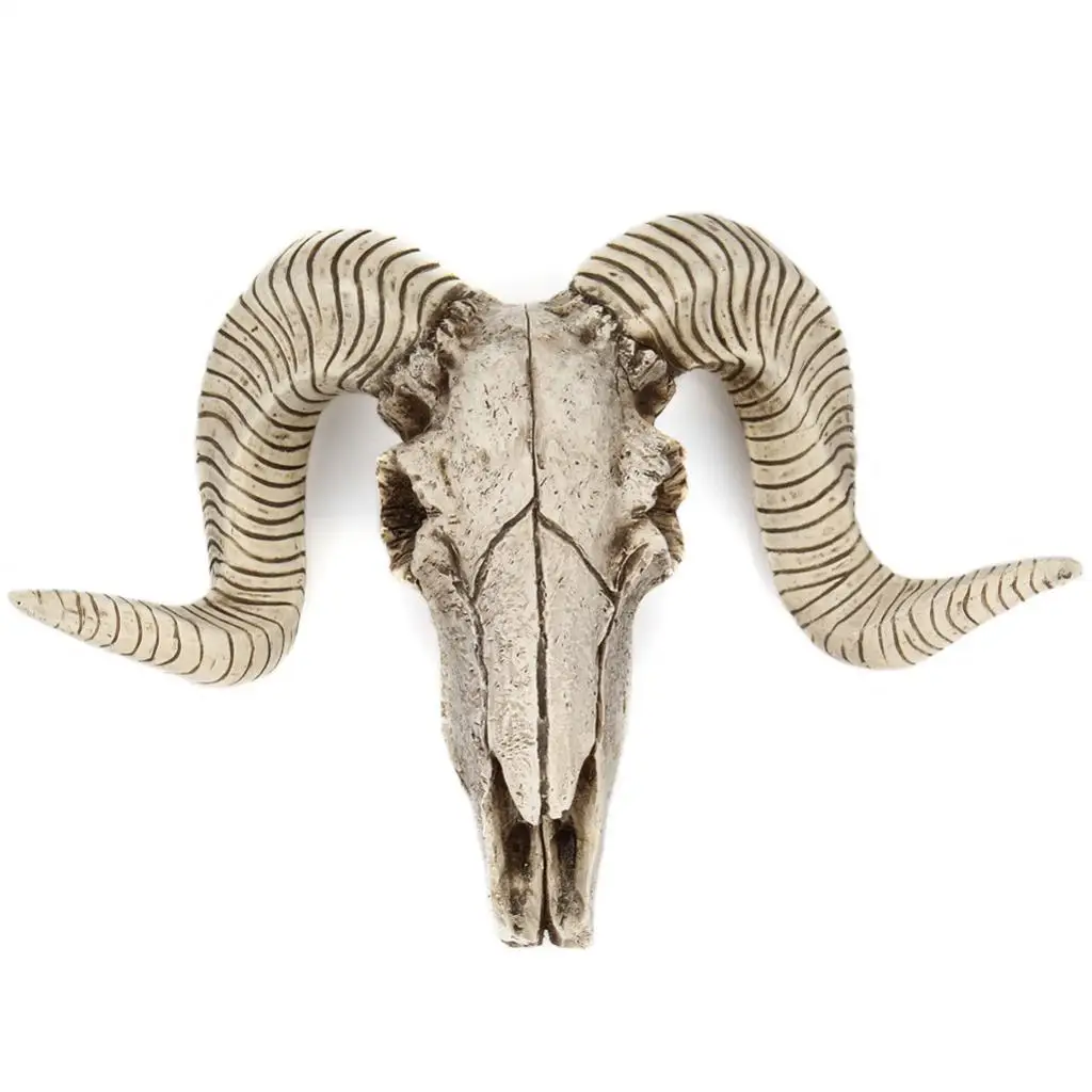 

Resin Sheep Head Animal Sculpture Skull Sheep's Head Head Bust Hanging Wall