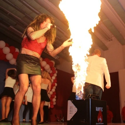 

TIPTOP Two Head DMX Fire Machine Stage Fire Fireworks Machine Flame Projector Stage Effect High Quality Valve Spray High 3-4M