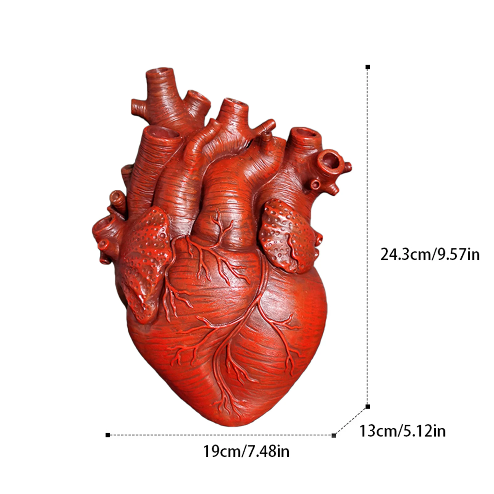 

Anatomical Heart Shape Flower Vase Nordic Style Flower Pot Art Vases Decorative Artware Desktop Decor For Sitting Room Office