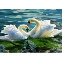 swan painting by number animal oil picture diy craft kits adults for drawing on canvas coloring by number with frame decor art