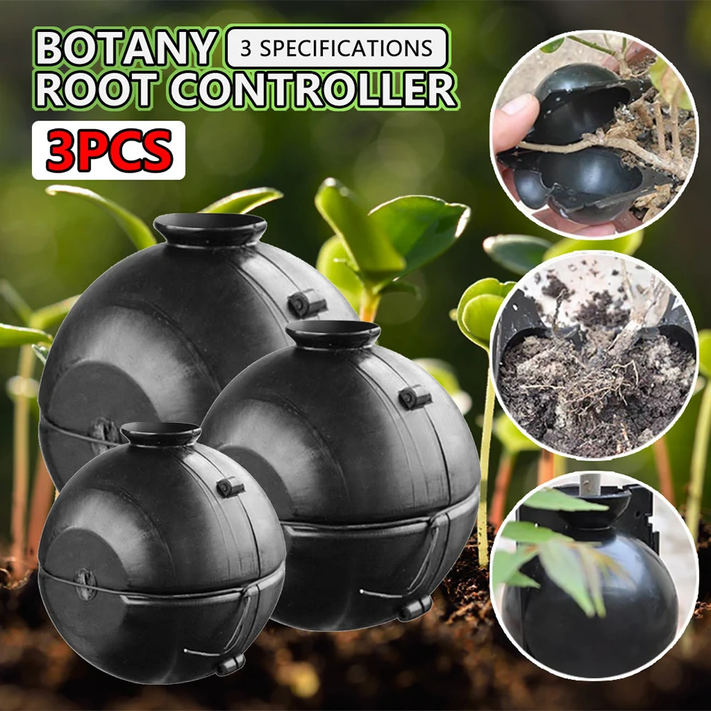 Устройство для укоренения растений прививочная коробка корней эффективная