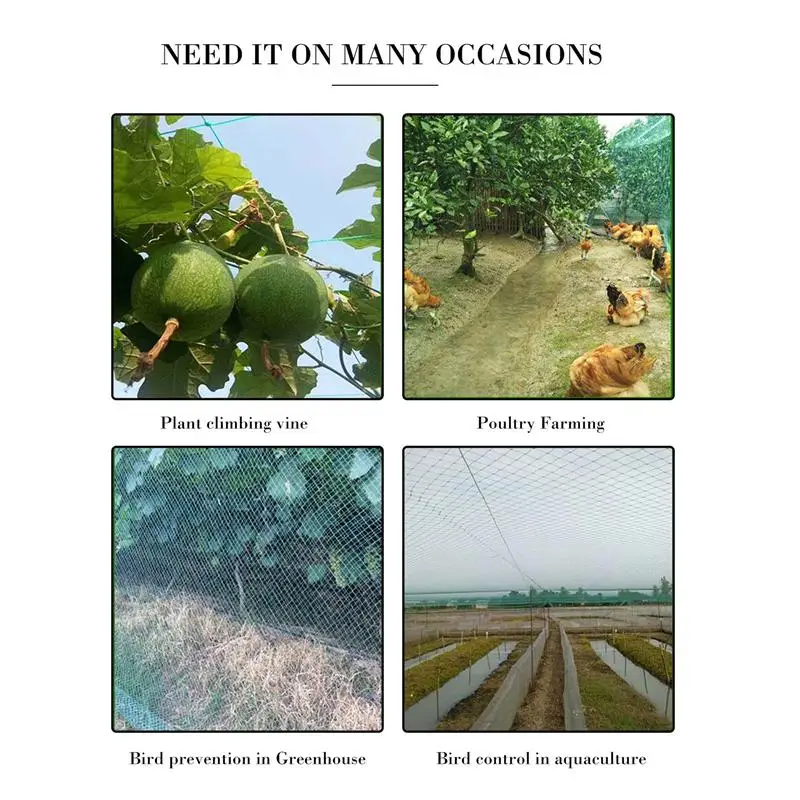 

1 Set Anti Bird Protection Net Garden Plant Net with Cable Ties and Garden Pegs