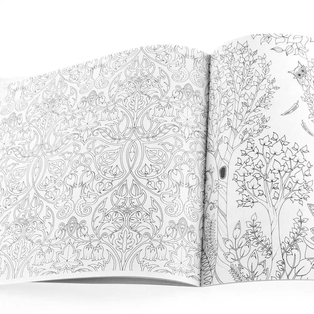 

English Adult mystery Garden Treasure Hunt Coloring Painting Book