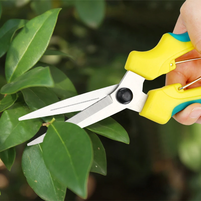 

Garden Tools Secateurs Bonsai Shears Metal Gardening Scissor Pruning Tool Hand Cutter Grape Fruit Picking Weed Household Potteds