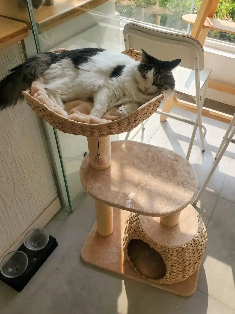 Натуральная искусственная трава плетеная рама для кошек лазание гнездо один дом