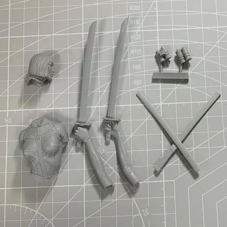 1/15 55mm Resin Model bust GK Ninja Lady Unassembled and unpainted kit | Игрушки и хобби