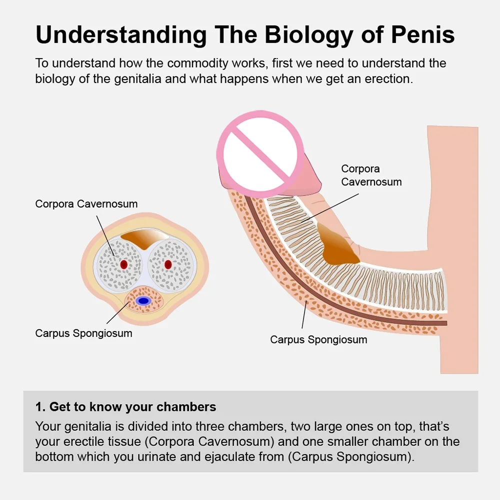 Электрический вакуумный насос для увеличения пениса мужской больше повышения