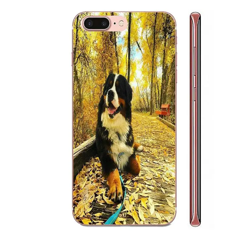 Soft TPU Stylish Case Bernese Mountain Dog For Apple iPhone 4 4S 5 5C 5S SE SE2 6 6S 7 8 11 Plus Pro X XS Max XR | Мобильные