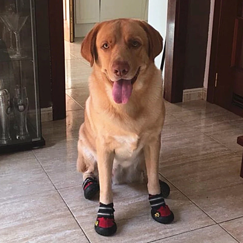 4Pcs/Set Sport Dog Shoes for Large Dogs Pet Outdoor Rain Boots Non Slip Puppy Running Sneakers Waterpoof Accessories | Дом и сад