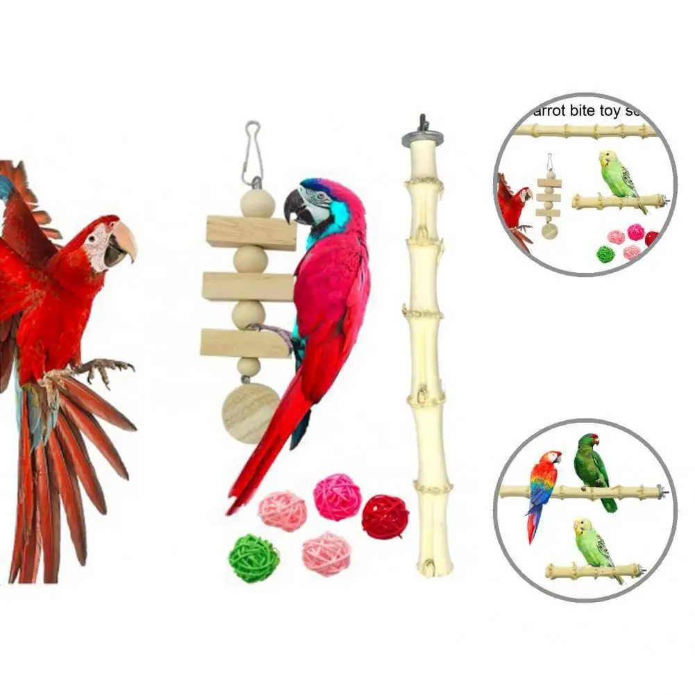 

Креативная подставка для попугаев для шлифовки зубов, подвесная игрушка для любителей птиц