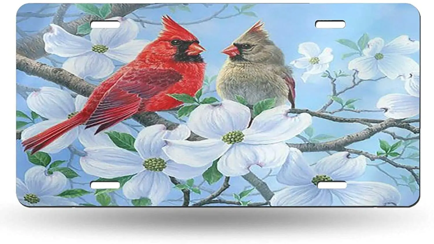 

yunsu Spring Cute Red Bird License Plate,Vanity Tag,Aluminum Novelty Decorative Front Plate