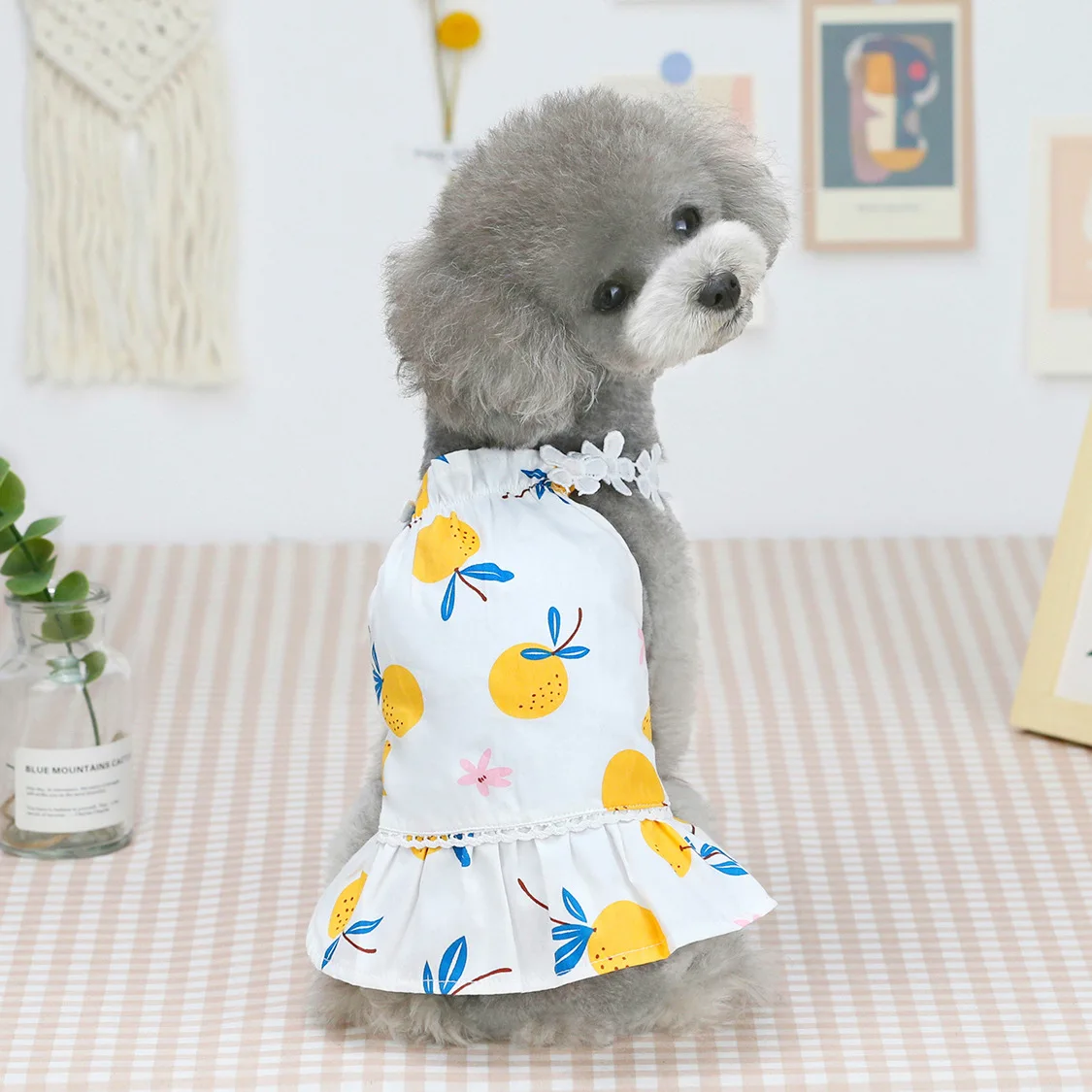 

Pet Dress Dog Clothes Dress Outfit for Small Dogs Cute Pet Clothing Puppy Skirt Dog Clothes Chihuahua