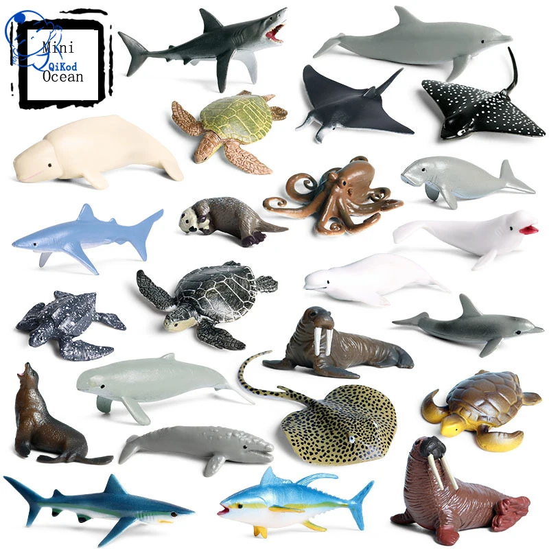 

Mini Model Simulation Prehistoric Marine Animal Toy Model Mini Megalodon Seals Nautilus Succulents Micros Ornaments Decorations