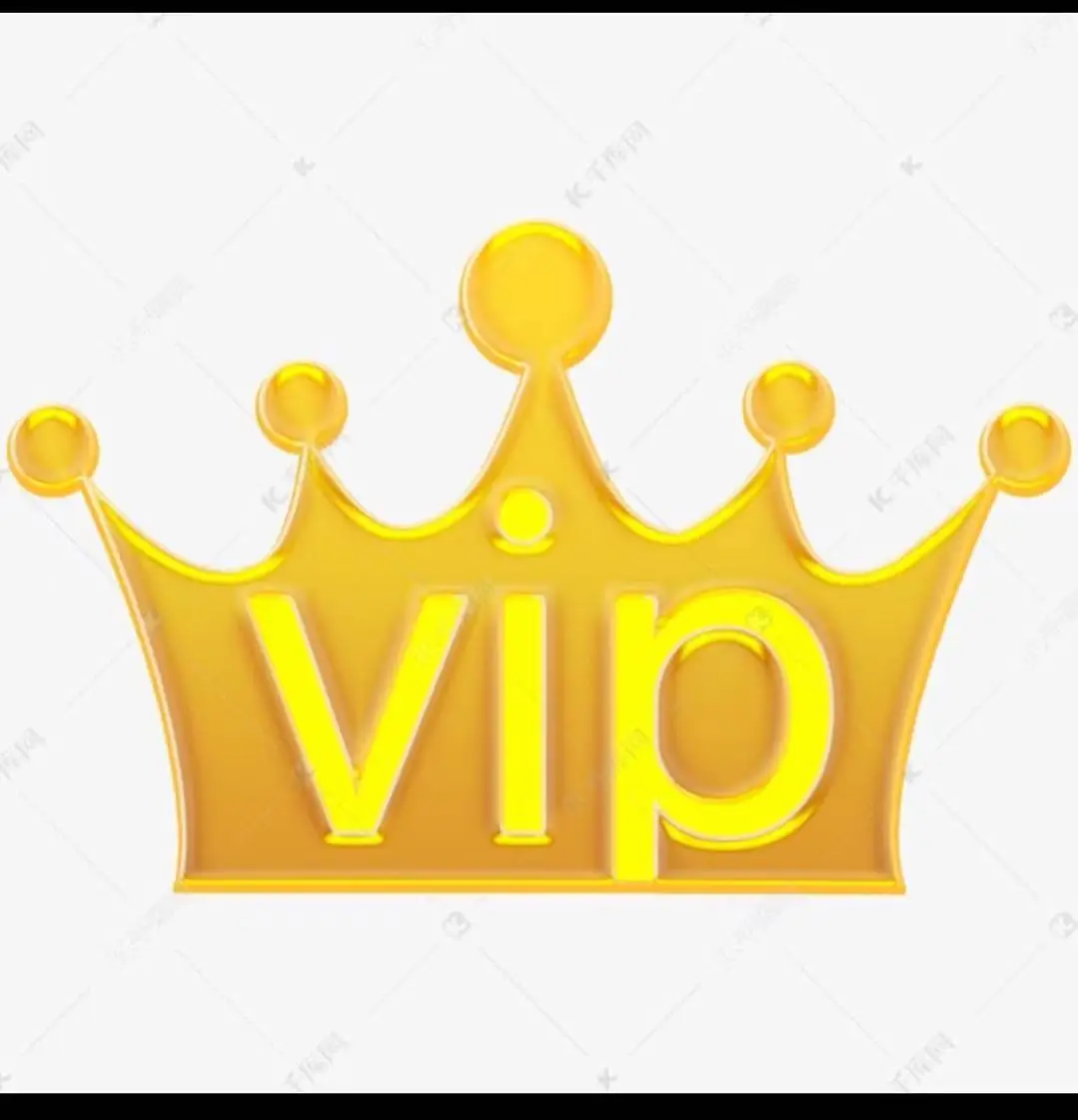 

customer vip customization
