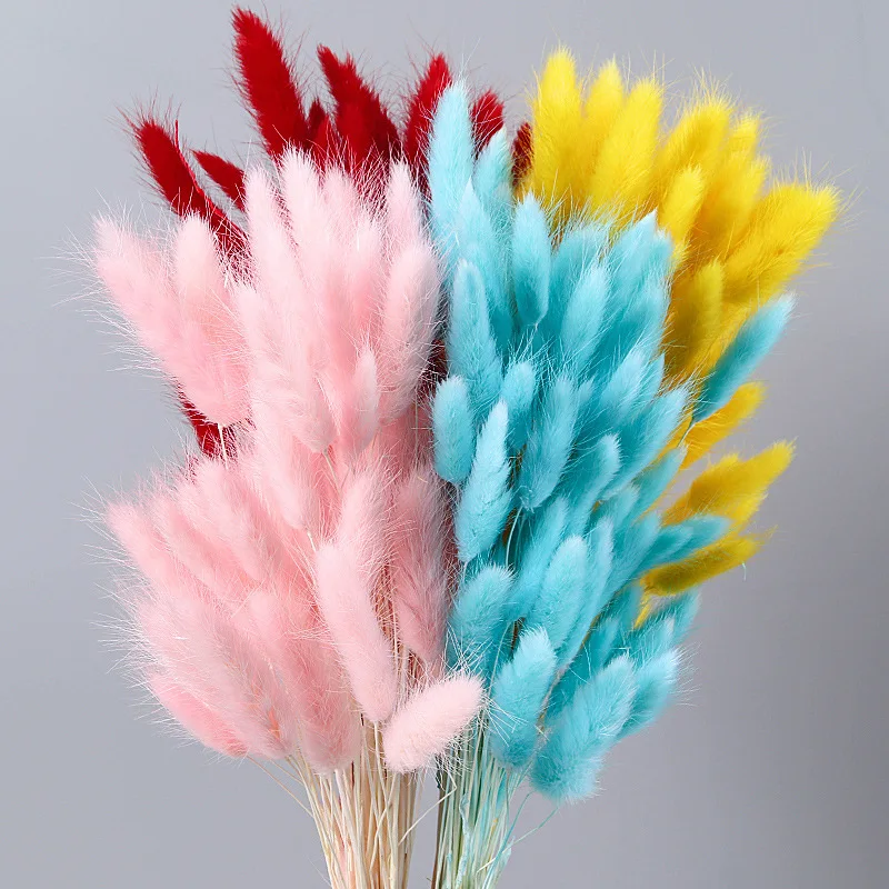 

60 Heads Dry Flower Rabbit Tail Grass Natural Dried Flower Bouquet Home Decoration Accessories Party Wedding Flower Arrangement