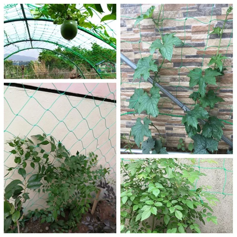 1 шт. держатель-сетка для подъема растений | Дом и сад