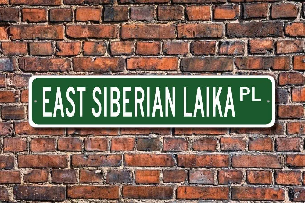 Восточно-Сибирский Лайка влюбленный знак собака влюбленная Настенный декор