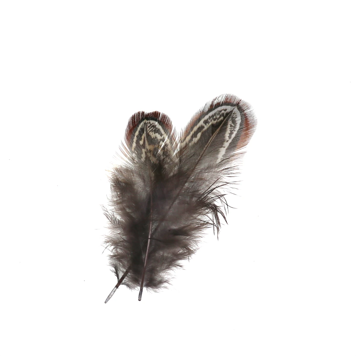 Bimoo 100 шт./упак. муха завязывание Partridge перо Caddis летающие крылья мягкие Hackle мокрые мушки соленой воды тройные Крючки материалы для связывания