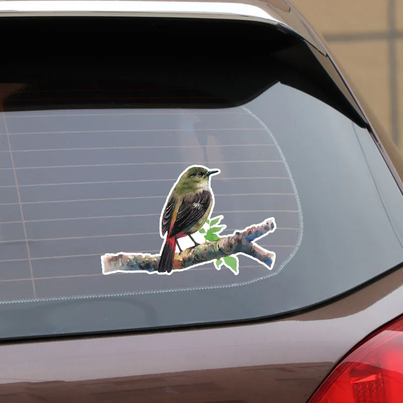 

Creative Unique Birds Car Sticker Car Styling Decal Accessories Vinyl PVC 16cm*10cm Motorcycle Waterproof Windshield