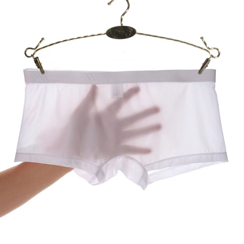 

Transparent Men Sexy Seamless Underwear Pants Boxershorts Male Mid-rise Mesh Slips Homme Panties Boxer Shorts M-2XL