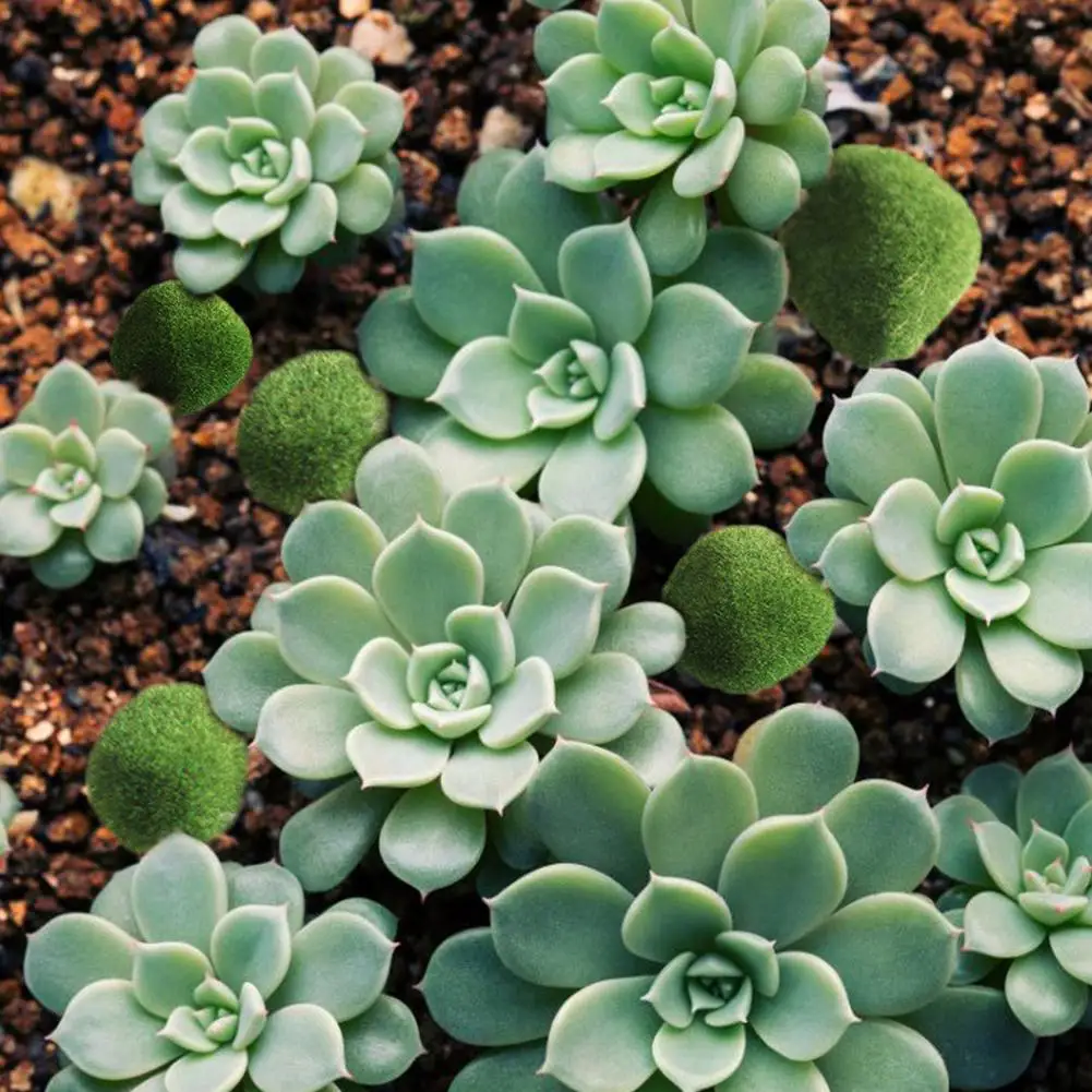 6 шт. искусственные моховые камни Декоративные зеленые для украшения дома и отеля