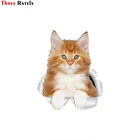 Милые наклейки Three Ratels с изображением Красного котенка Мейн-енота, оранжевые наклейки на унитаз с изображением кота Мейн-енота, 3D наклейки на окно автомобиля и бампер