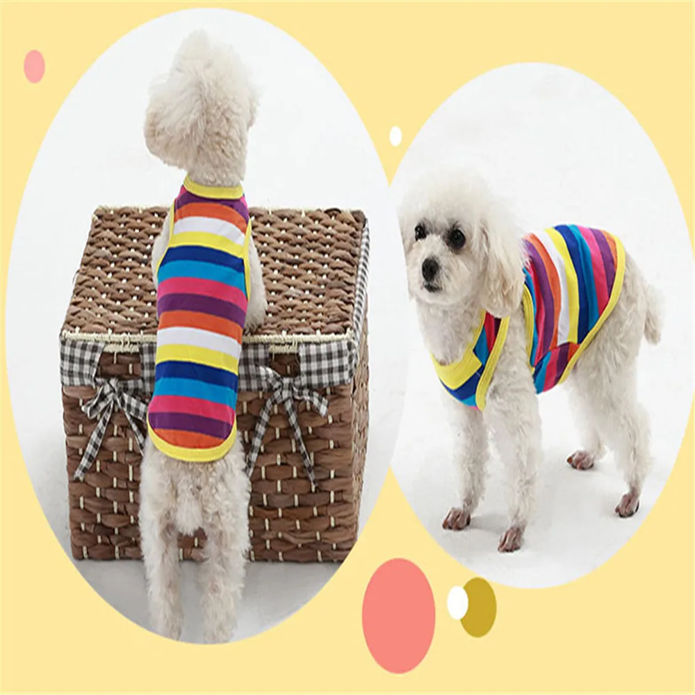 

Vendors For Designer Dog Clothes Customised T Shirts Logo Printed Pet Clothing Sweaters Luxury Traveling Bags