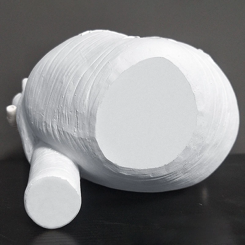 

Anatomical Heart Shape Vase Nordic Body Art Creative Vase Flower Pot Plant Holder Sculpture Desktop Ornament for Home Decor