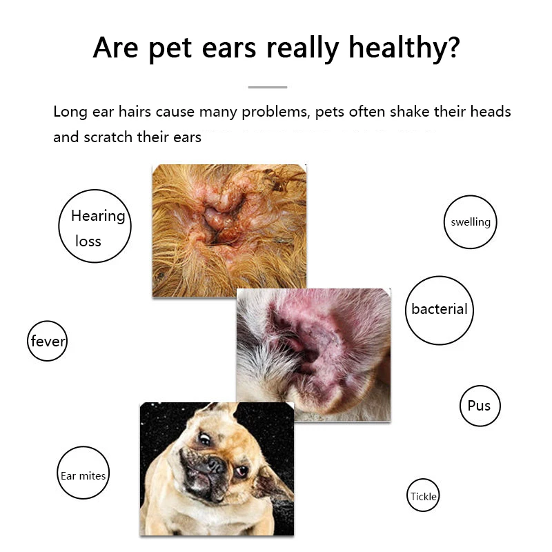 Порошок для удаления волос в виде собачьих ушей порошок чистки Тедди золотой