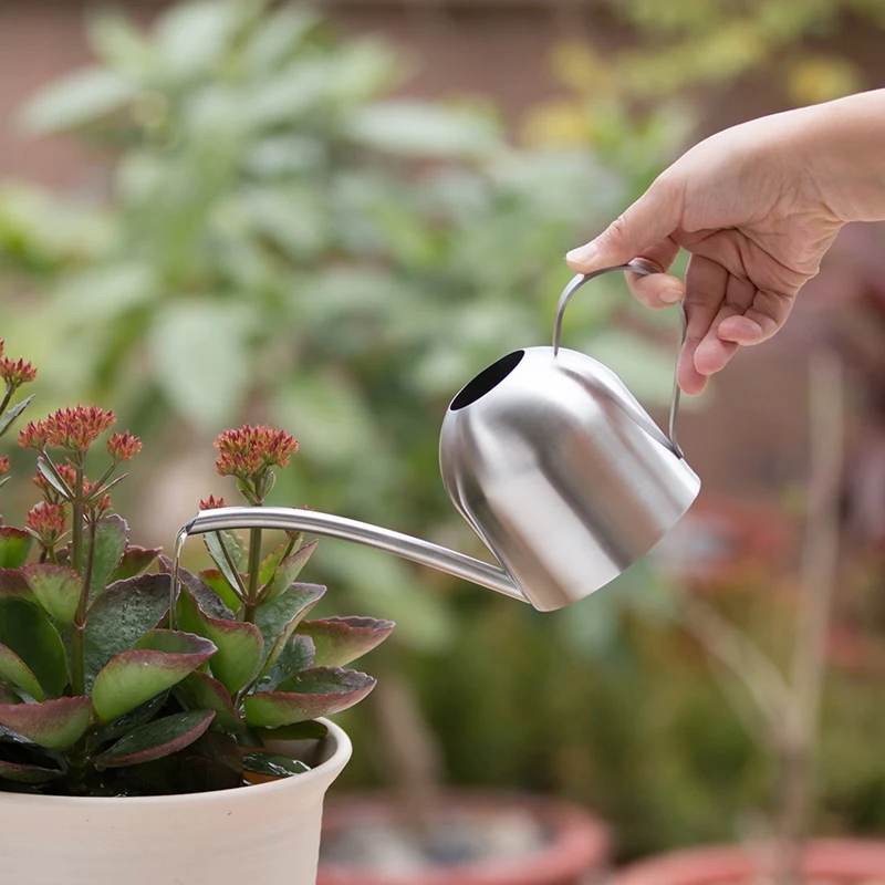 

Stainless Steel Watering Pot Gardening Potted Small Watering Can Indoor Succulent Watering Flower Kettle 500ml