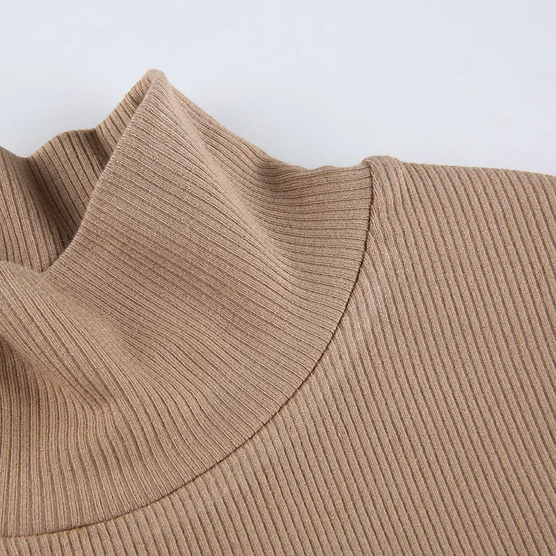 

Basic Woman Tshirts Solid Ribbed Knitted Fitted Sexy High Neck Long Sleeve Crop Tops Women 2021 Winter