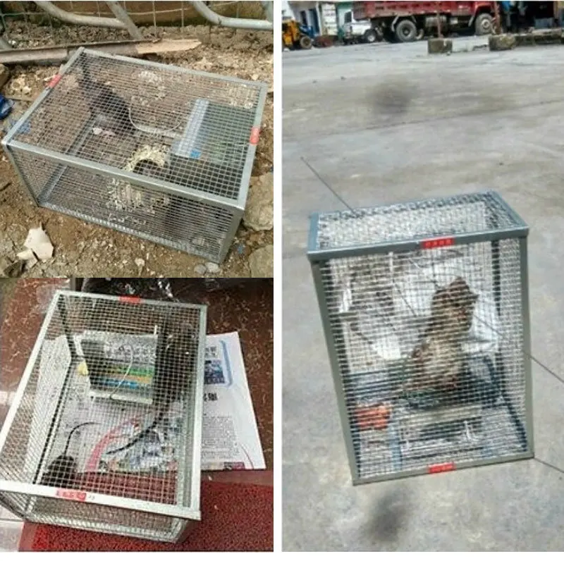 Большое пространство непрерывного мышеловка дома анти-побега грызунов устройство складной открытый высокая эффективность захвата змея инструмент