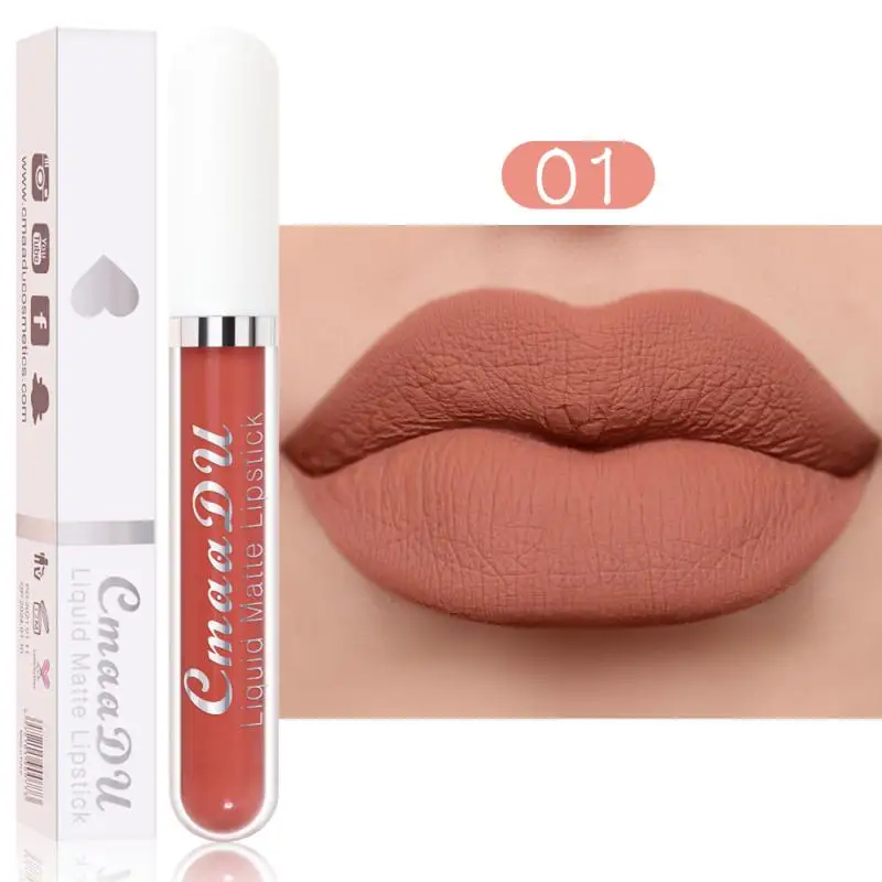 Matte Lip Gloss Makeup Silky Long Lasting Moisturizing Balm Easy To Color Lipstick Make Up Korean Cosmetics Maquillaje TSLM1 |