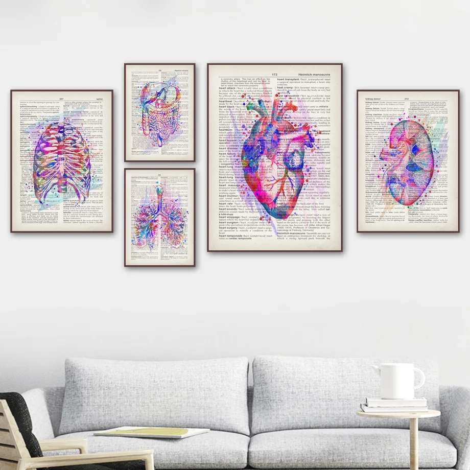 

Brain Heart Lung Kidney Sternum Human Anatomy Vintage Poster Wall Art Print Canvas Painting Wall Pictures For Living Room Decor